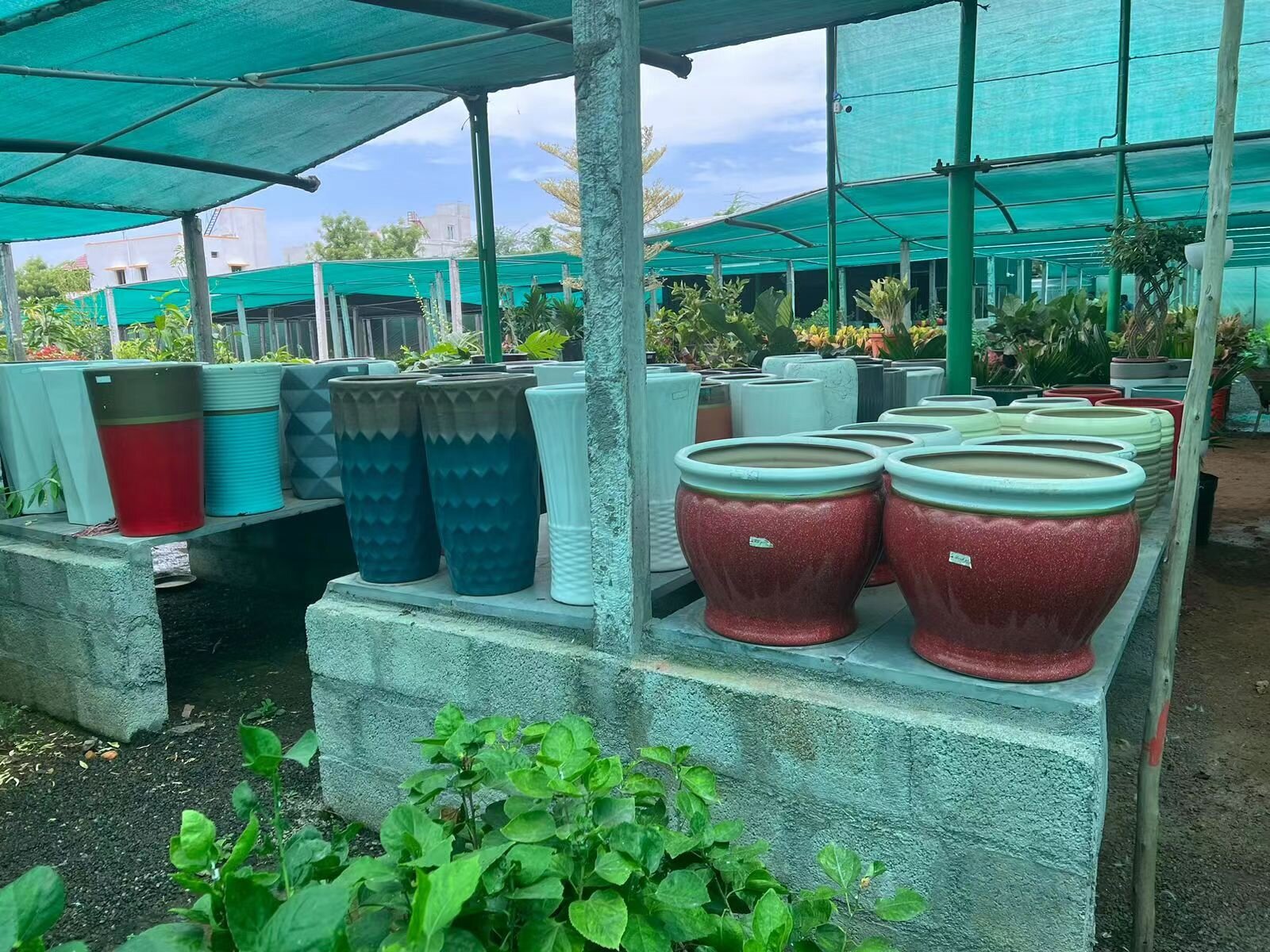 Planters with Drainage and Tray White Ceramic Planters for Indoor Plants Round Flower Plant Pots.jpg